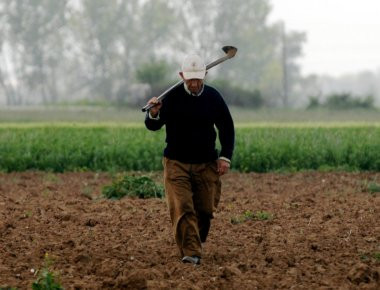 Με εγγύηση του δημοσίου η ρύθμιση των κόκκινων αγροτικών δανείων